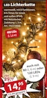 Sonderpreis Baumarkt Duderstadt - LED-Lichterkette Angebot im Prospekt LED-Lichterkette bei Sonderpreis Baumarkt im Duderstadt Prospekt für 14,95 €