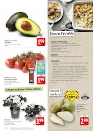 Pflanzen Angebot & Preis im aktuellen EDEKA Prospekt Pflanzen Angebot im aktuellen EDEKA Prospekt auf Seite 5