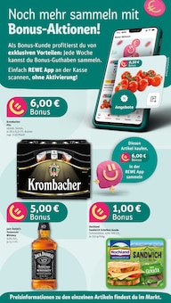 Aktueller REWE Prospekt für Reilingen mit  Seiten