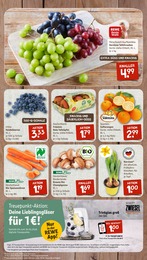 Saftorangen Angebot & Preis im aktuellen nahkauf Prospekt Saftorangen Angebot im aktuellen nahkauf Prospekt auf Seite 3