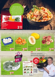 Champignons im Selgros Prospekt "HIER KAUFEN PROFIS & GENIESSER" mit 16 Seiten (Duisburg)
