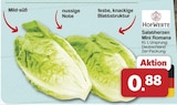 Aktuelles Salatherzen Mini Romana Angebot bei famila Nordwest in Oldenburg ab 0,88 €