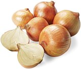 REWE Eschau - Gelbe Speisezwiebeln Angebot im Prospekt Gelbe Speisezwiebeln bei REWE im Eschau Prospekt für 1,11 €