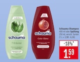 Shampoo Angebote von schauma bei Marktkauf Kirchheim für 1,59 €