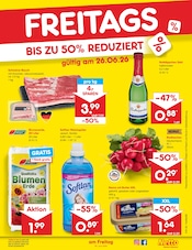 Garten im Netto Marken-Discount Prospekt in Buxtehude Aktueller Netto Marken-Discount Prospekt mit Garten, "Aktuelle Angebote", Seite 51