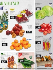 Tomaten im EDEKA Prospekt in Ratingen Aktueller EDEKA Prospekt mit Tomaten, "Aktuelle Angebote", Seite 9
