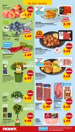 Bratwurst im Penny Prospekt in Straubing Aktueller Penny Prospekt mit Bratwurst, "Wer günstig will, muss Penny.", Seite 22