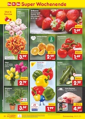 Aktueller Netto Marken-Discount Prospekt mit Gartenerde, "Aktuelle Angebote", Seite 44