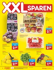Pflanzen im Netto Marken-Discount Prospekt in Wolfenbüttel Aktueller Netto Marken-Discount Prospekt mit Pflanzen, "Aktuelle Angebote", Seite 4