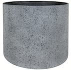 Topf Nami von Ter Steege im aktuellen Zimmermann Prospekt