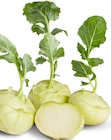 Kohlrabi bei Penny-Markt im Welden Prospekt für 0,55 €