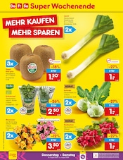 Kiwi im Netto Marken-Discount Prospekt in Siegen Aktueller Netto Marken-Discount Prospekt mit Kiwi, "Aktuelle Angebote", Seite 52