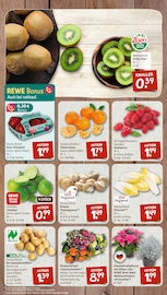 Kartoffeln im nahkauf Prospekt in Bayreuth Aktueller nahkauf Prospekt mit Kartoffeln, "nichts liegt näher", Seite 4