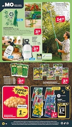 Säge Angebot im aktuellen Netto mit dem Scottie Prospekt auf Seite 24