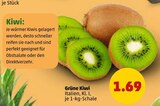 Grüne Kiwi Angebot in Werder Grüne Kiwi im aktuellen Prospekt bei Penny-Markt in Werder