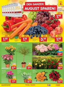 Blumen im aktuellen Netto Marken-Discount Prospekt (Chemnitz) Blumen im Netto Marken-Discount Prospekt "Aktuelle Angebote" mit 49 Seiten (Chemnitz)