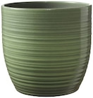 Cache pot en céramique en promo chez Lidl Avignon à 8,99 €