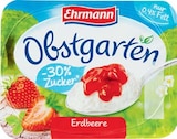 Obstgarten von Ehrmann im aktuellen Netto Marken-Discount Prospekt