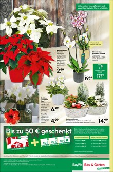 Zimmerpflanzen im aktuellen BayWa Bau- und Gartenmärkte Prospekt (Nürnberg) Zimmerpflanzen im BayWa Bau- und Gartenmärkte Prospekt "Hier bin ich gern" mit 8 Seiten (Nürnberg)
