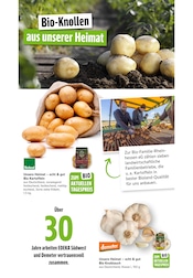Aktueller EDEKA Prospekt mit Knoblauch, "Aktuelle Angebote", Seite 31