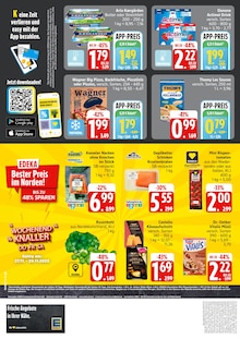 Zimmerpflanzen im EDEKA Prospekt "Top Angebote" mit 5 Seiten (Hamburg)