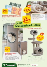 Fressnapf Kratzbaum im Prospekt 
