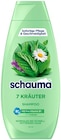 Spülung im Angebot bei REWE in Neuss Spülung Angebote von Schauma bei REWE Neuss für 1,69 €