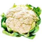 Gemüse- und Salatjungpflanzen im Angebot bei OBI in Fürth Gemüse- und Salatjungpflanzen Angebote von original regional bei OBI Fürth für 2,49 €