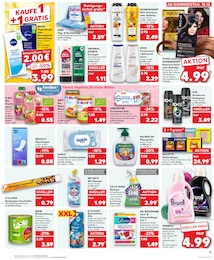 Hundefutter Angebot im aktuellen Kaufland Prospekt auf Seite 19