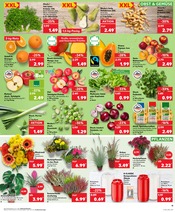 Aktueller Kaufland Prospekt mit Kohle, "Aktuelle Angebote", Seite 11