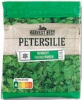 Kräuter von Harvest Best im aktuellen Netto mit dem Scottie Prospekt