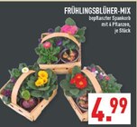 Frühlingsblüher-Mix Angebote bei Marktkauf Hemer für 4,99 €