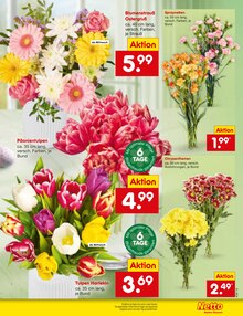 Tulpen im Netto Marken-Discount Prospekt "Aktuelle Angebote" mit 62 Seiten (Herne)