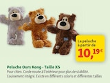 Peluche Ours à Maxi Zoo dans Sainte-Foy-lès-Lyon