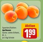 Aprikosen Angebote bei REWE Duisburg für 1,99 €