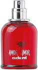 Amor Amor im Rossmann Prospekt Amor Amor von cacharel im aktuellen Rossmann Prospekt für 21,99 €