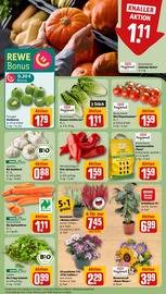 Ähnliche Balkonpflanzen Angebote im Prospekt "Dein Markt" von REWE in Dorsten Ähnliche Angebote wie Balkonpflanzen im Prospekt "Dein Markt" auf Seite 5 von REWE in Dorsten