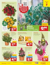 Aktueller Netto Marken-Discount Prospekt mit Korb, "Aktuelle Angebote", Seite 7