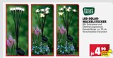 LED-Solar-Wackelstecker im Angebot bei Marktkauf in Bietigheim-Bissingen LED-Solar-Wackelstecker Angebote von Living & Garden bei Marktkauf Bietigheim-Bissingen für 4,99 €
