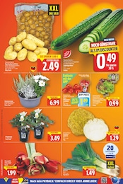 E center Blumen im Prospekt E center Blumen im Prospekt