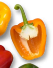Aktuelle Paprika-Mix Angebote bei Kaufland in München Aktuelles Dtsch. Spitzpaprika-Mix Angebot bei Kaufland in München ab 2,49 €