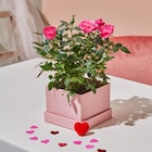 Rosier - MDD en promo chez Carrefour Market Bastia à 3,99 €