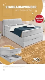 Bett im Polstermöbel Fischer Prospekt "BOXSPRING SPEZIAL" auf Seite 13
