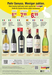 Sekt im Trinkgut Prospekt "Aktuelle Angebote" mit 18 Seiten (Salzgitter)