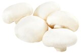 Weiße Riesenchampignons im Angebot bei REWE in Gladbeck Weiße Riesenchampignons Angebote von REWE Regional bei REWE Gladbeck für 1,79 €