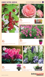 Promos Plante Verte dans le catalogue "Intermarché" de Intermarché Super à la page 3