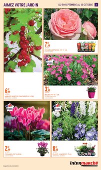 Promotion Pensées dans le prospectus Intermarché Super, valable du 29/09/2026 au 18/10/2026 Promo Pensées dans le catalogue Intermarché Super du moment à la page 3