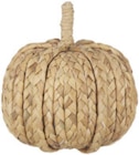 Aktuelles Dekokürbis 'Pumpkin' Angebot bei mömax in Koblenz ab 4,99 €