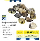 Teppichmuschel Vongole Veraci im aktuellen METRO Prospekt