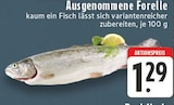 Ausgenommene Forelle Angebote bei E center Duisburg für 1,29 €